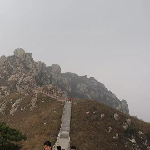 蛙蟆胜负