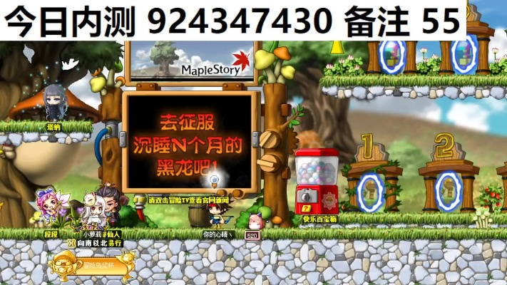 传奇微端版激活码跟冒险岛单机版62,创新解析执行策略-限量款_v9.355