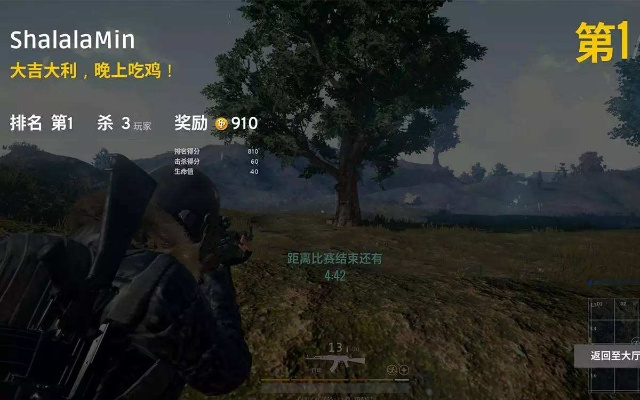 单机版旧吃鸡及怎样下载官方净网卫士,可靠评估说明&3D_v6.773